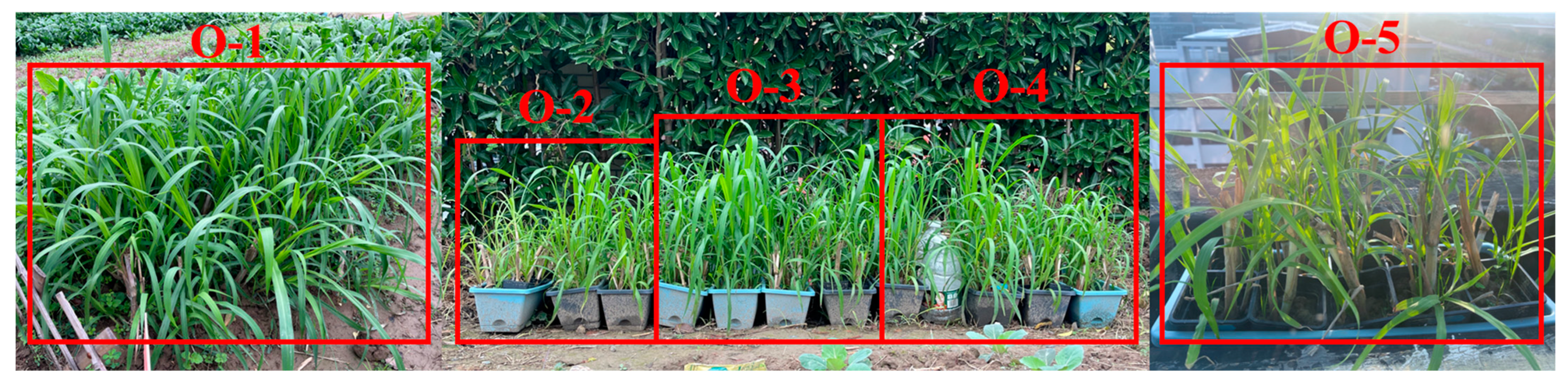 Sustainability 16 00697 g006