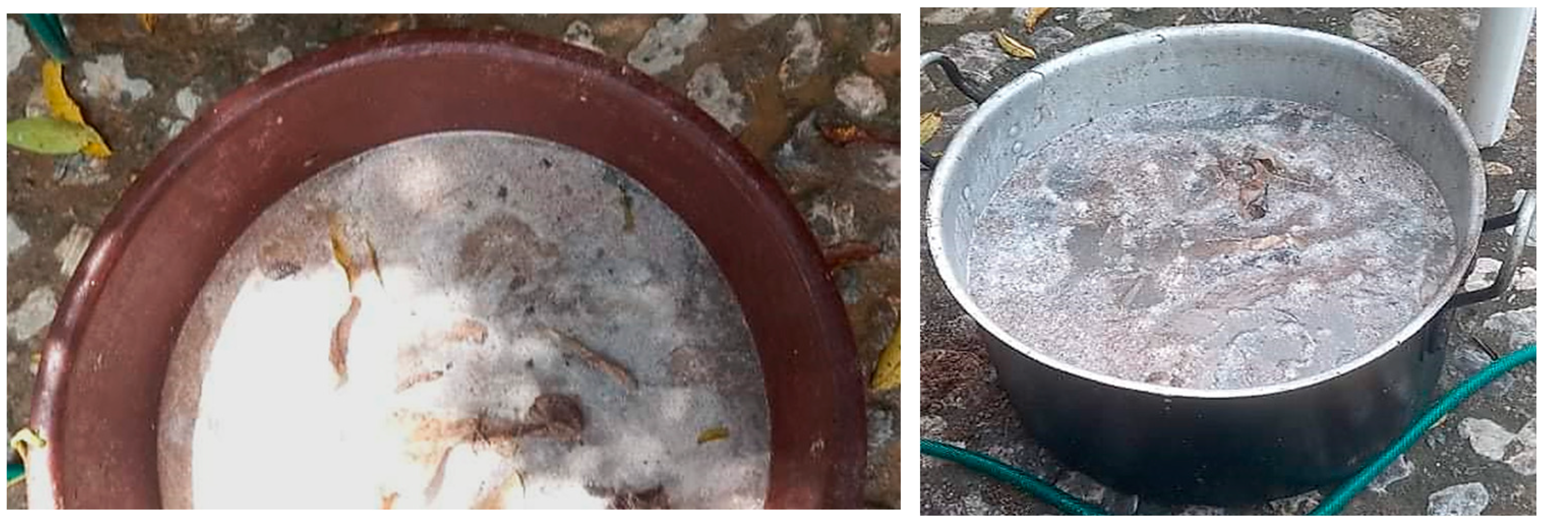 Sustainability 16 00701 g002