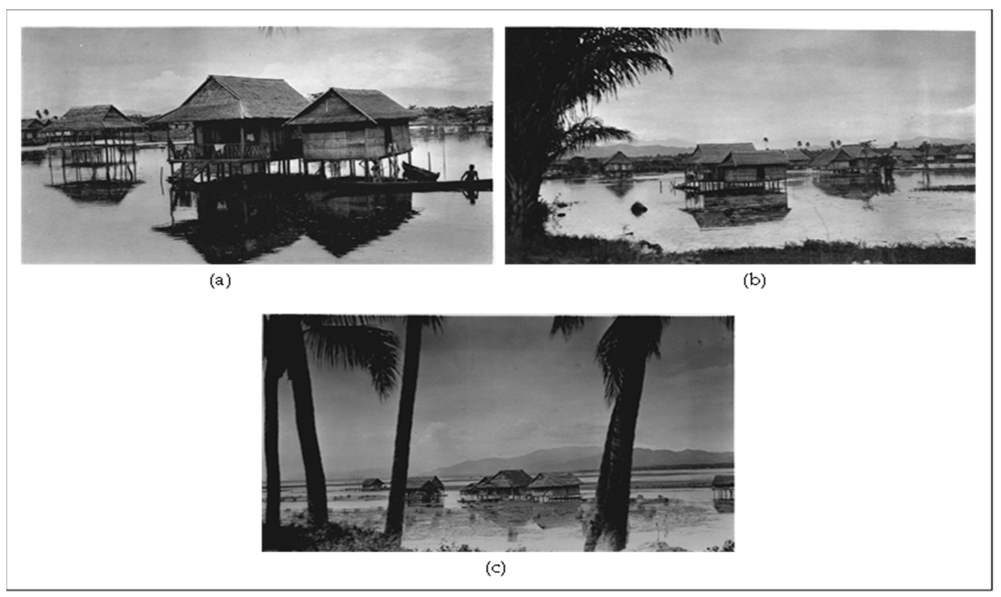 Sustainability 16 00704 g002