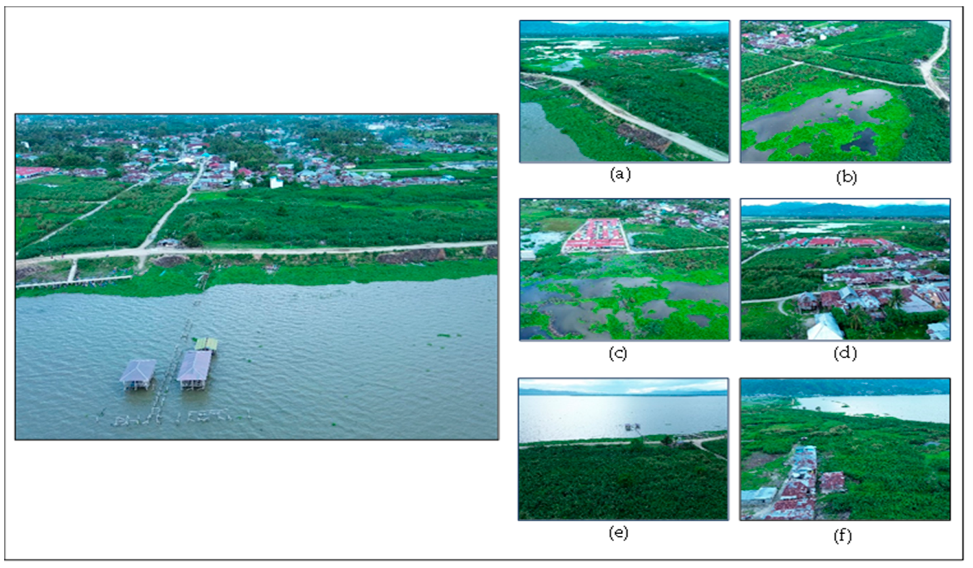 Sustainability 16 00704 g003