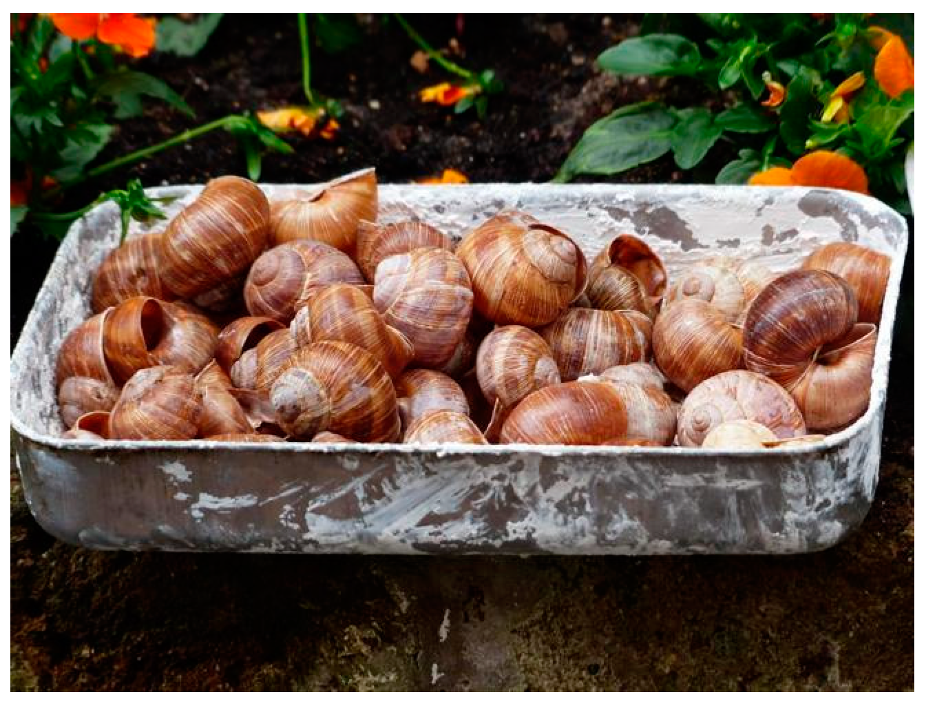 Sustainability 16 00706 g001 Sustainability 16 00706 g001