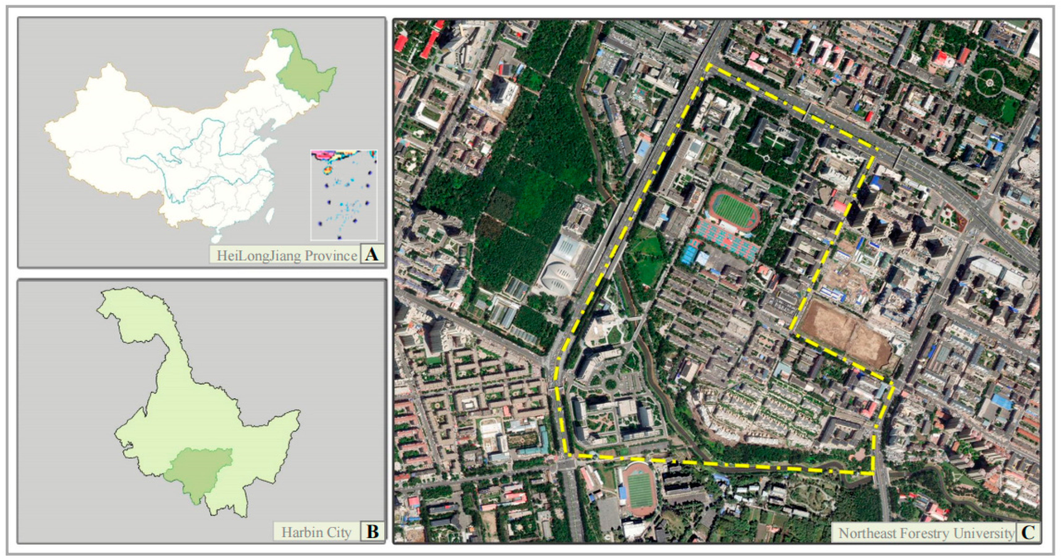 Sustainability 16 00707 g001