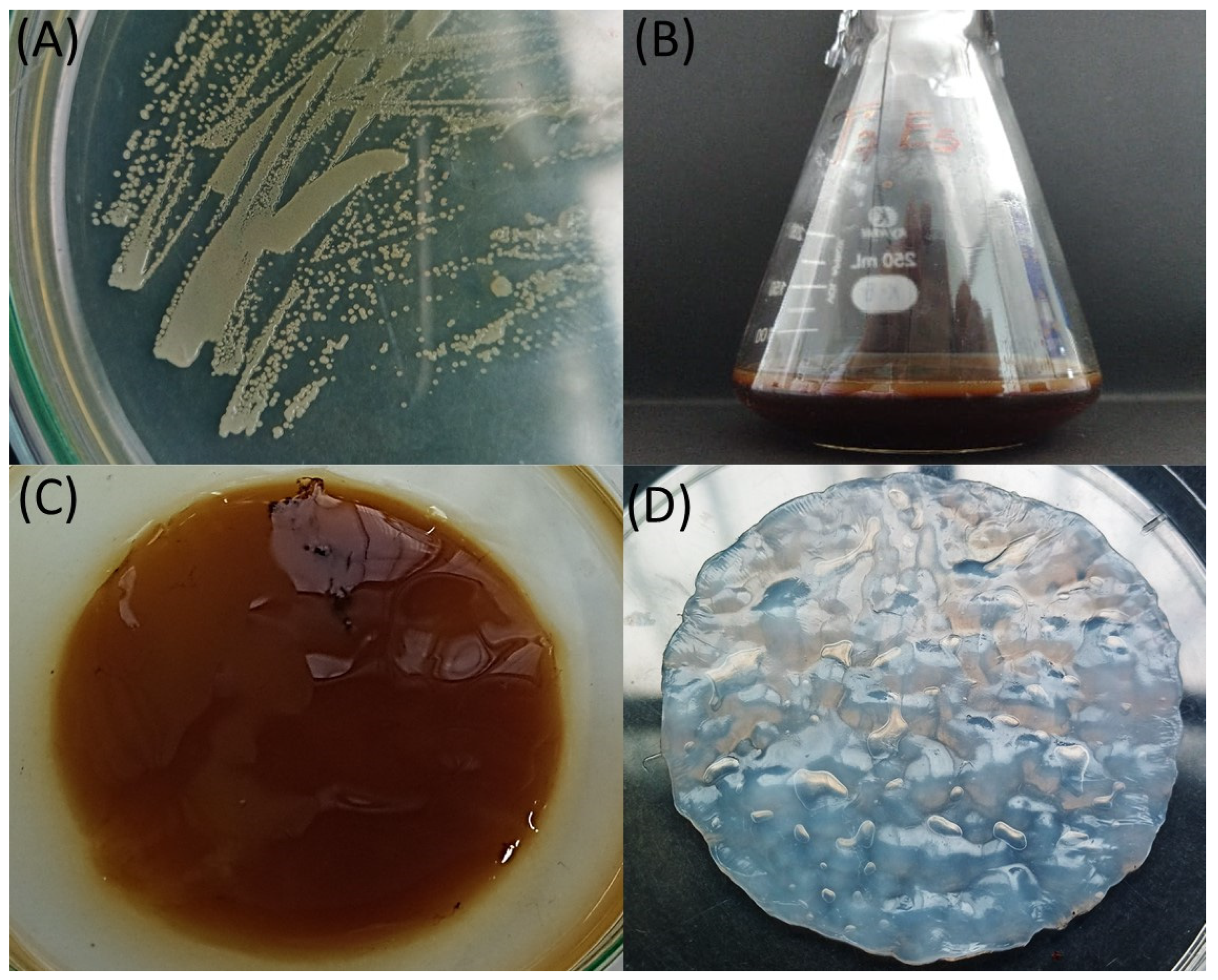 Sustainability 16 00736 g001