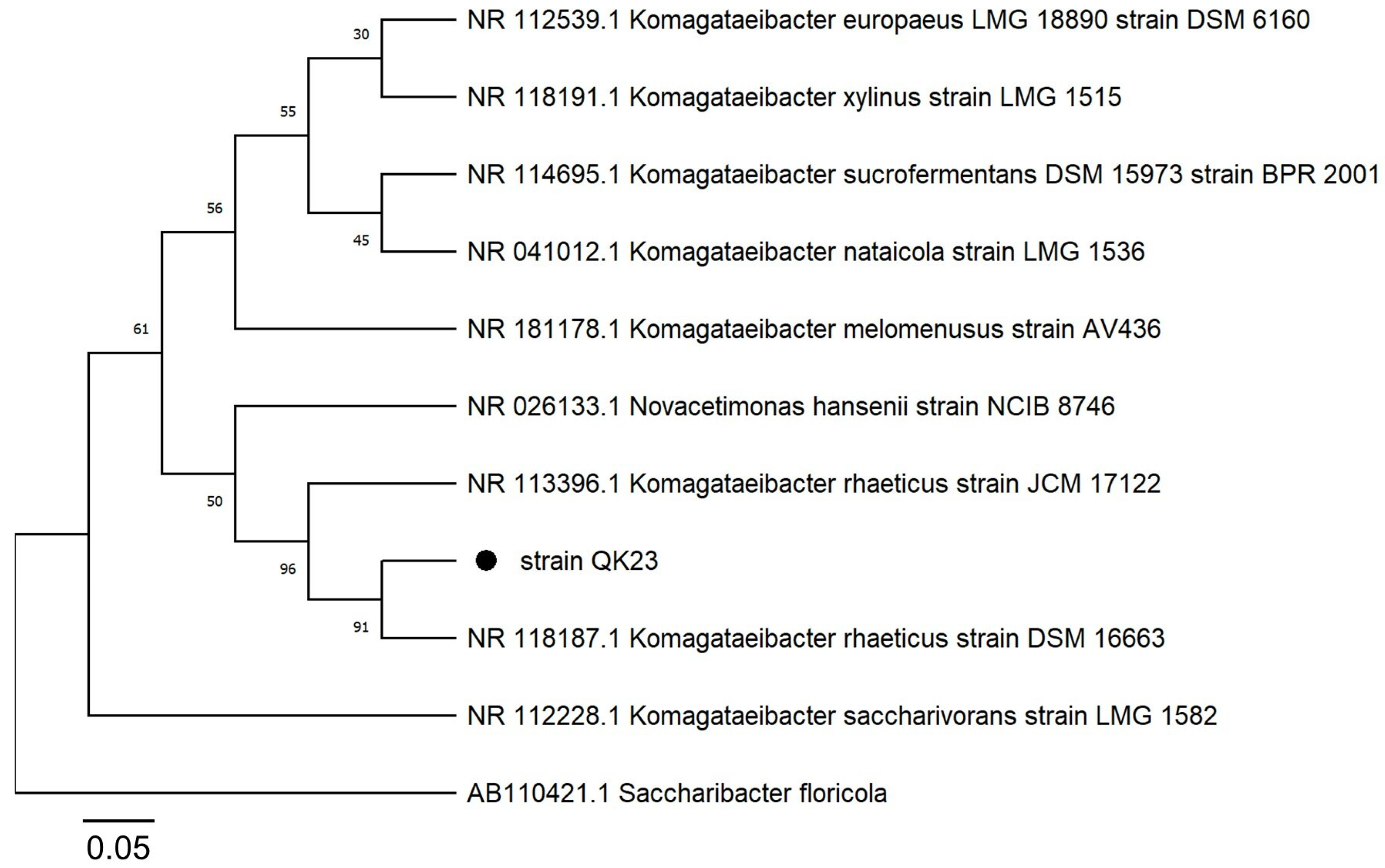 Sustainability 16 00736 g002