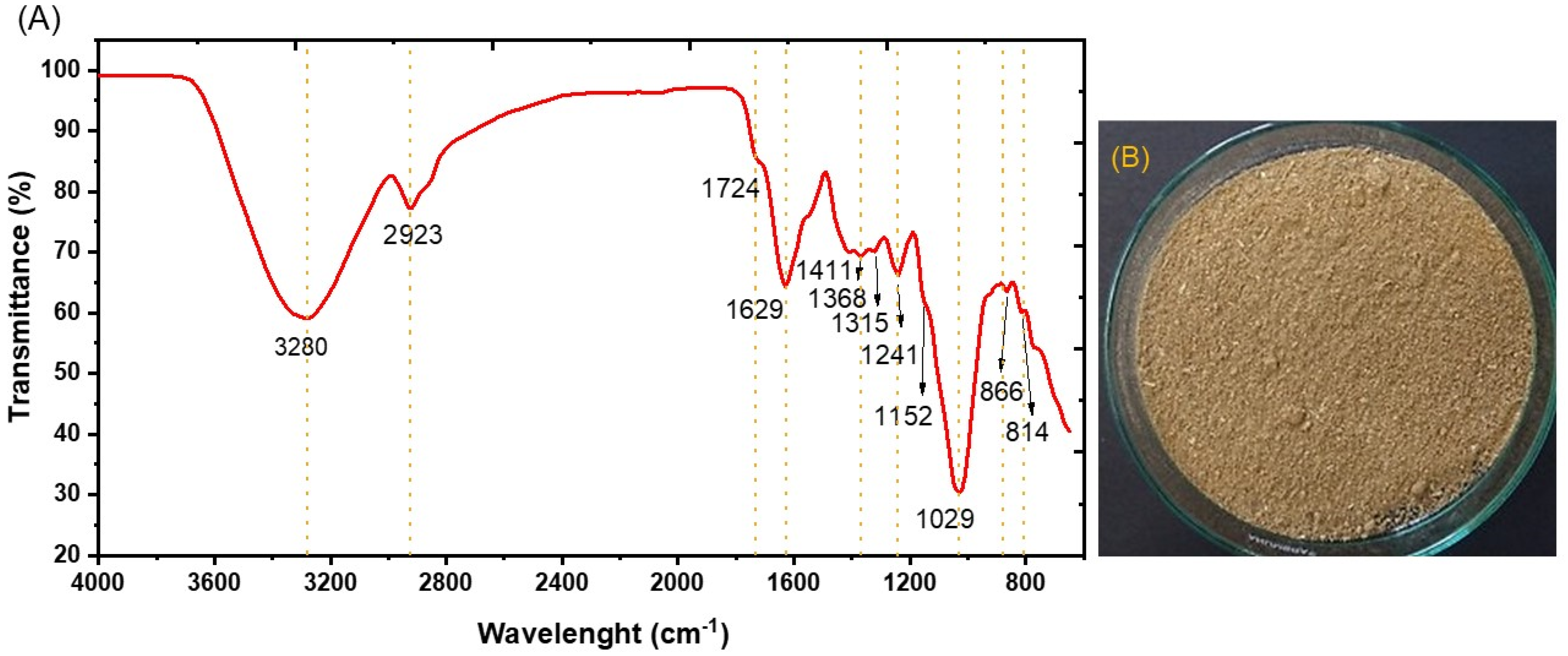 Sustainability 16 00736 g003