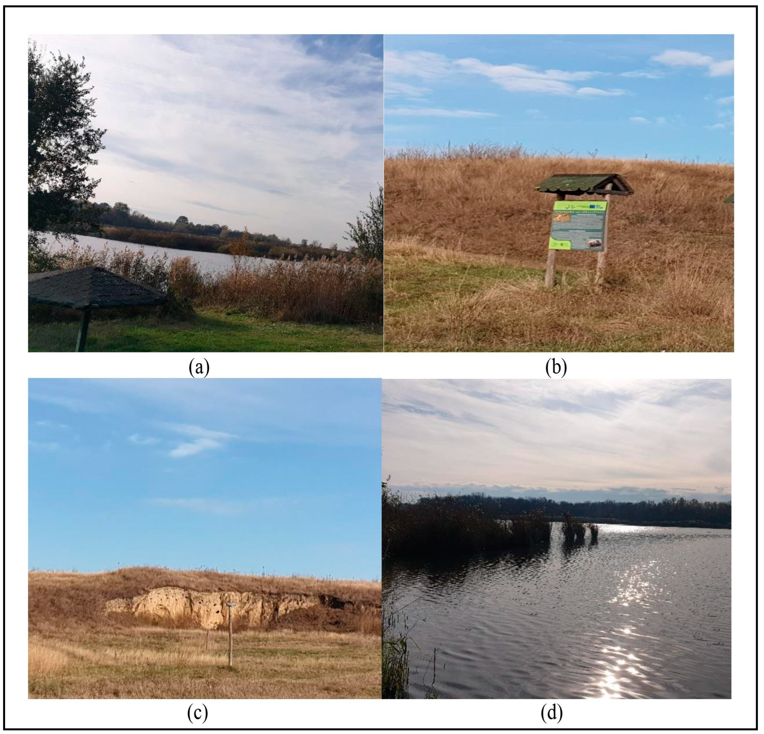 Sustainability 16 00759 g002