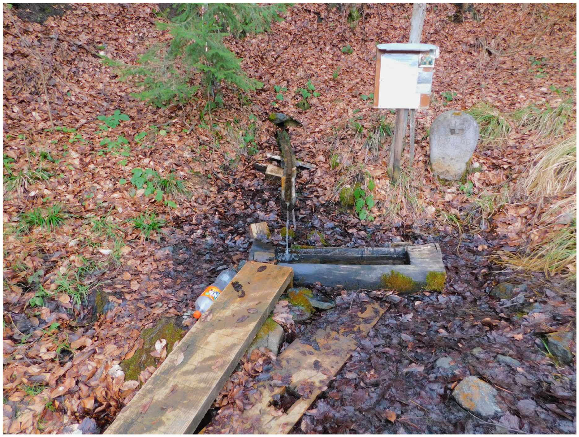 Sustainability 16 00782 g008