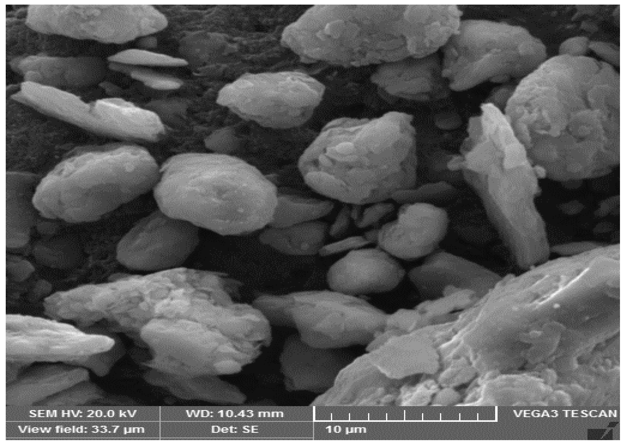 Sustainability 16 00789 g001