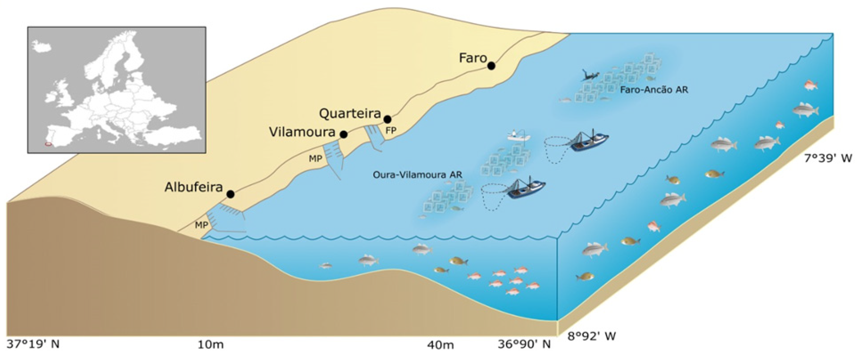 Sustainability 16 00810 g001 Sustainability 16 00810 g001
