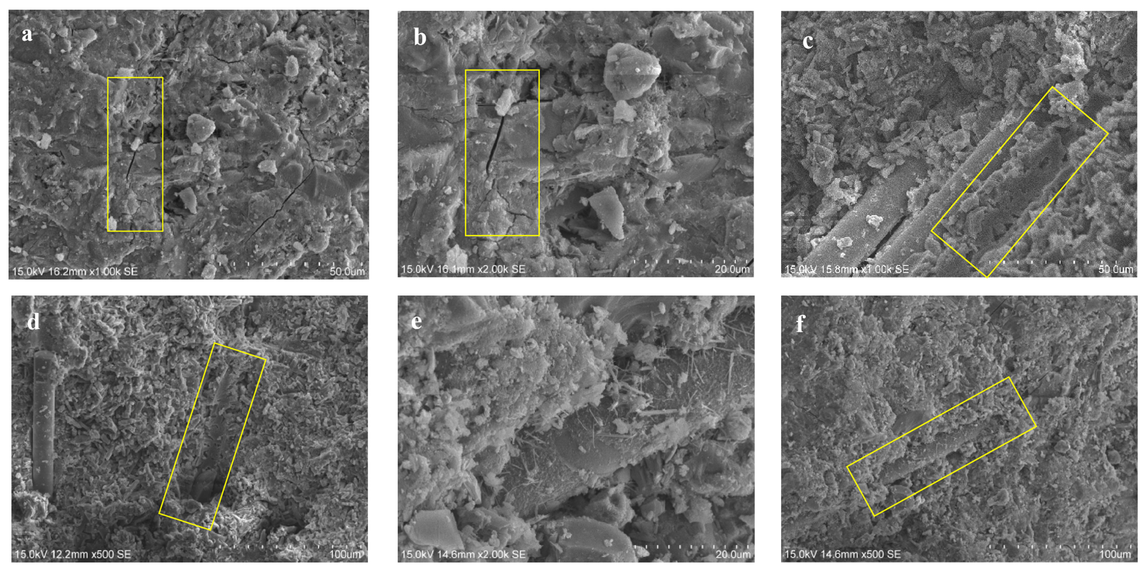 Sustainability 16 00821 g010