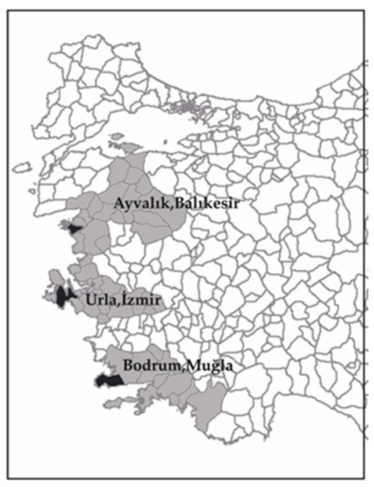 Sustainability 16 00900 g001