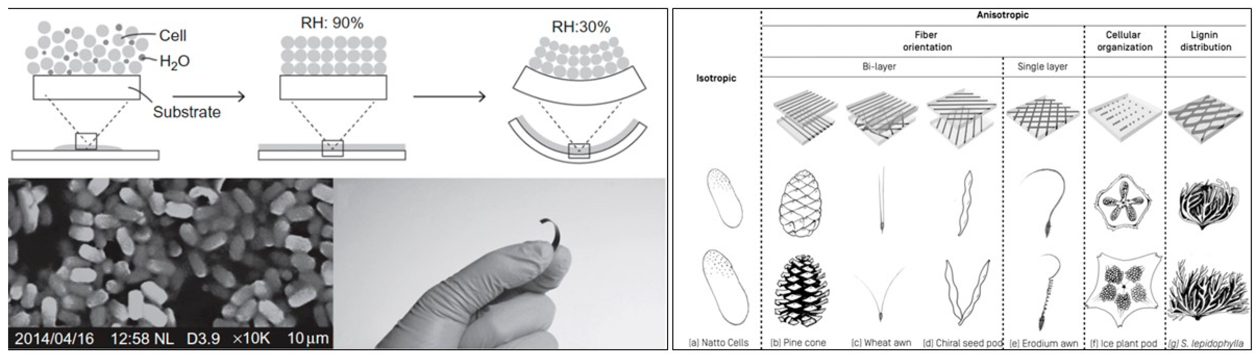 Sustainability 16 00959 g002
