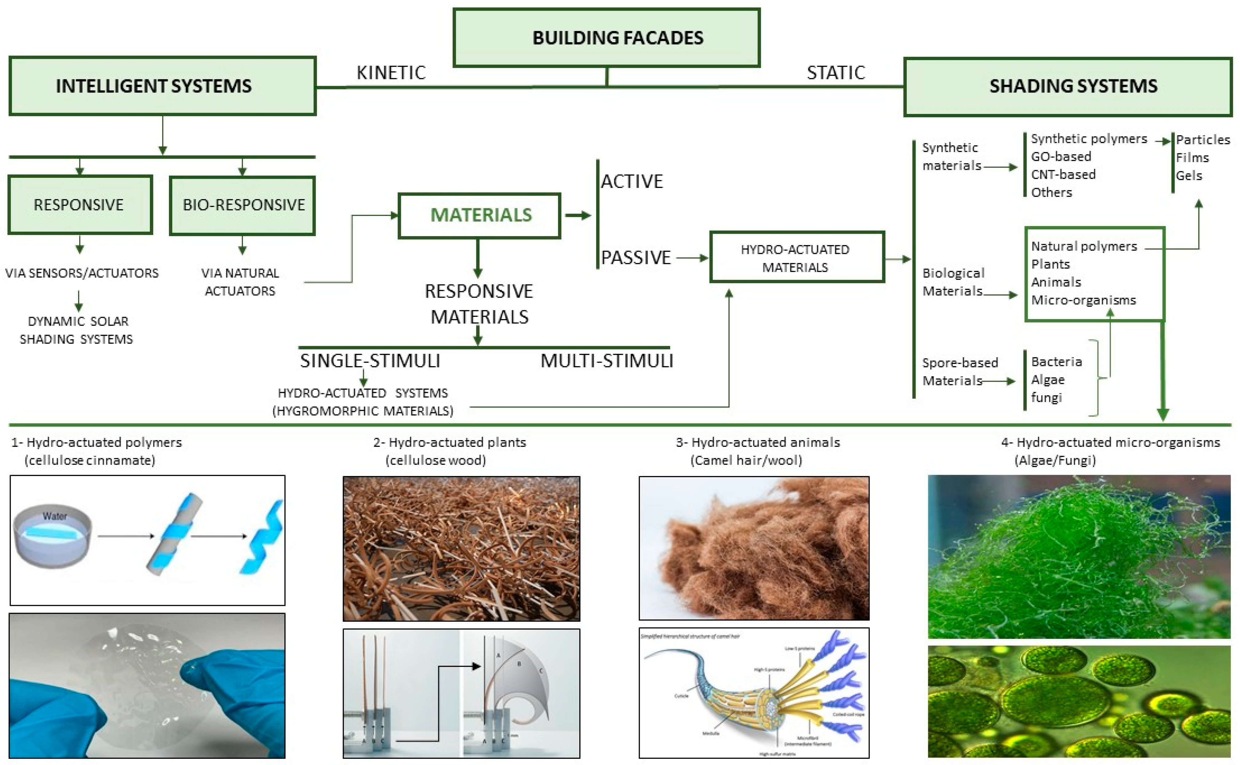 Sustainability 16 00959 g004