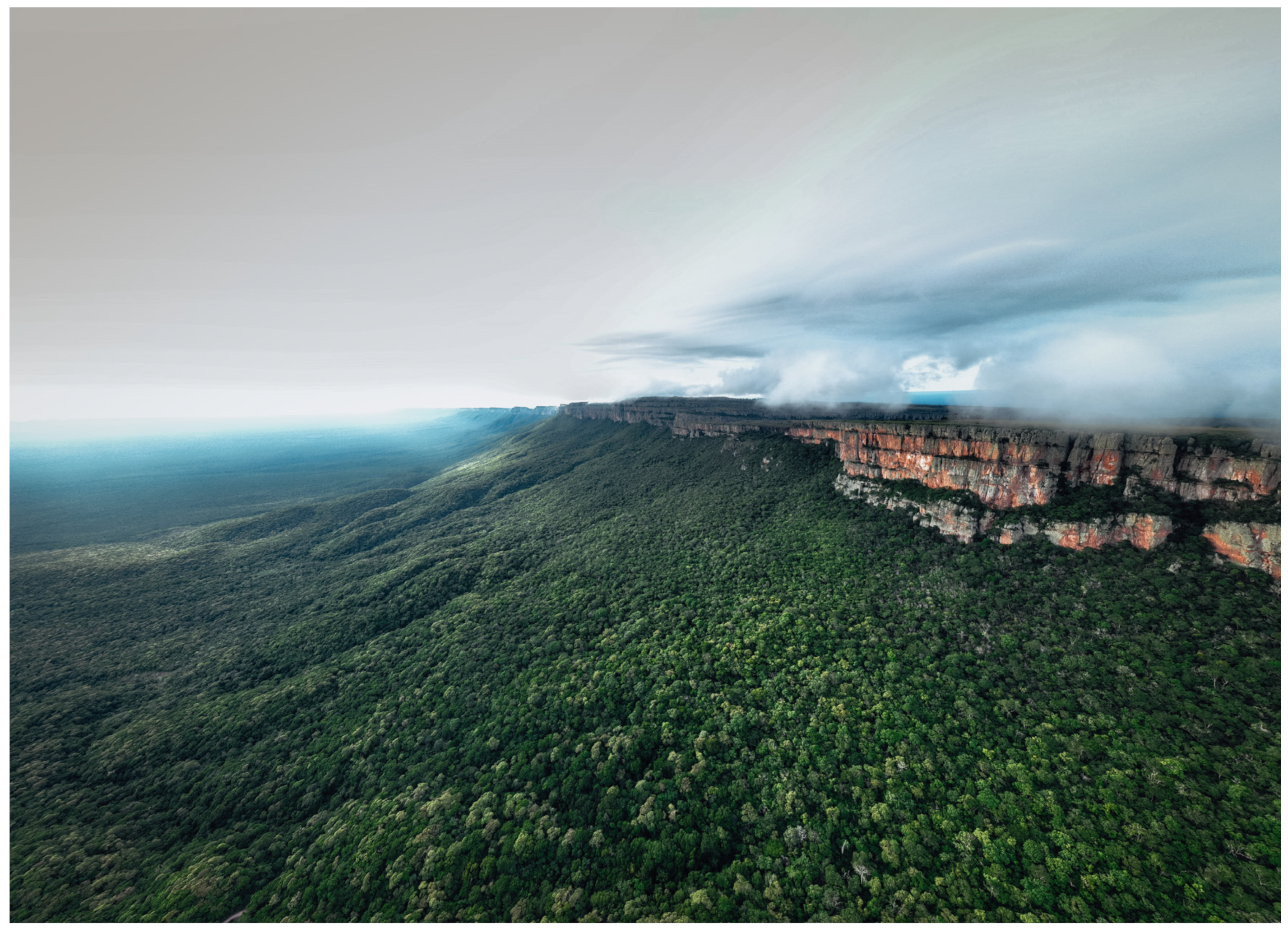 Sustainability 16 00969 g001