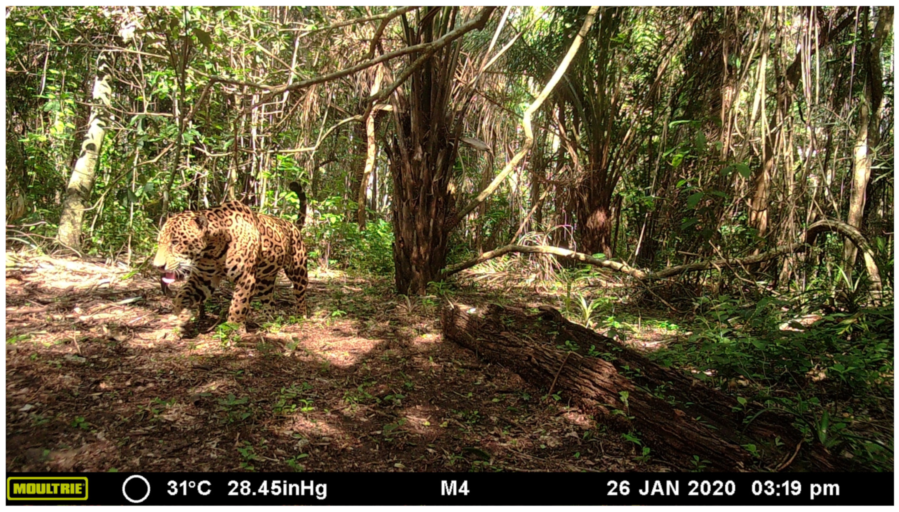 Sustainability 16 00969 g002