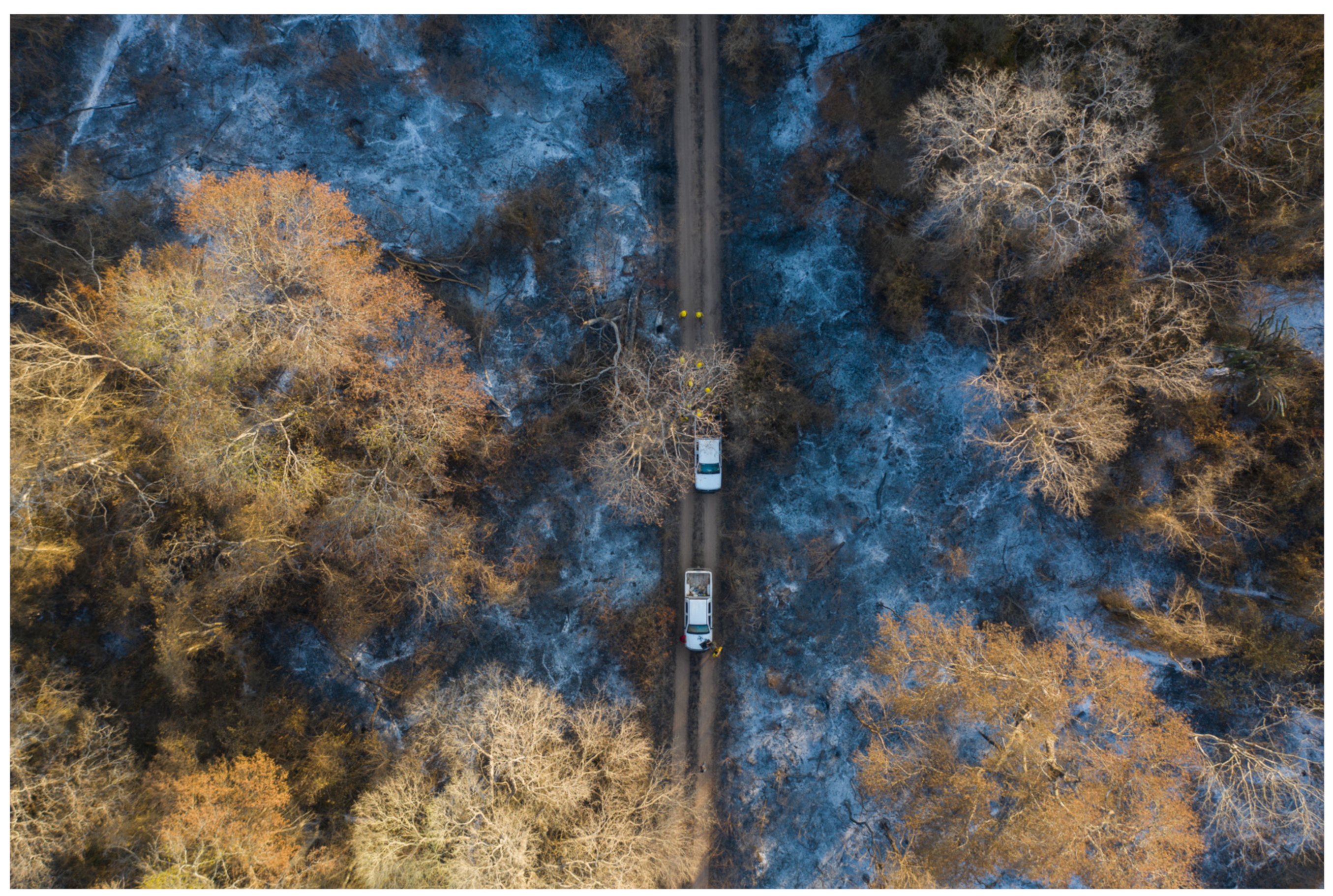 Sustainability 16 00969 g003