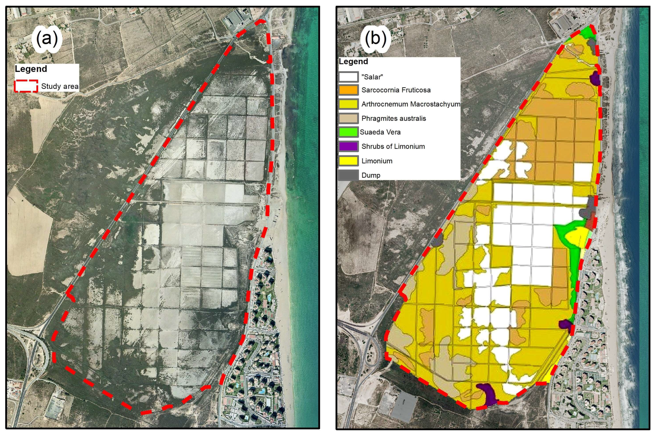 Sustainability 16 00973 g004