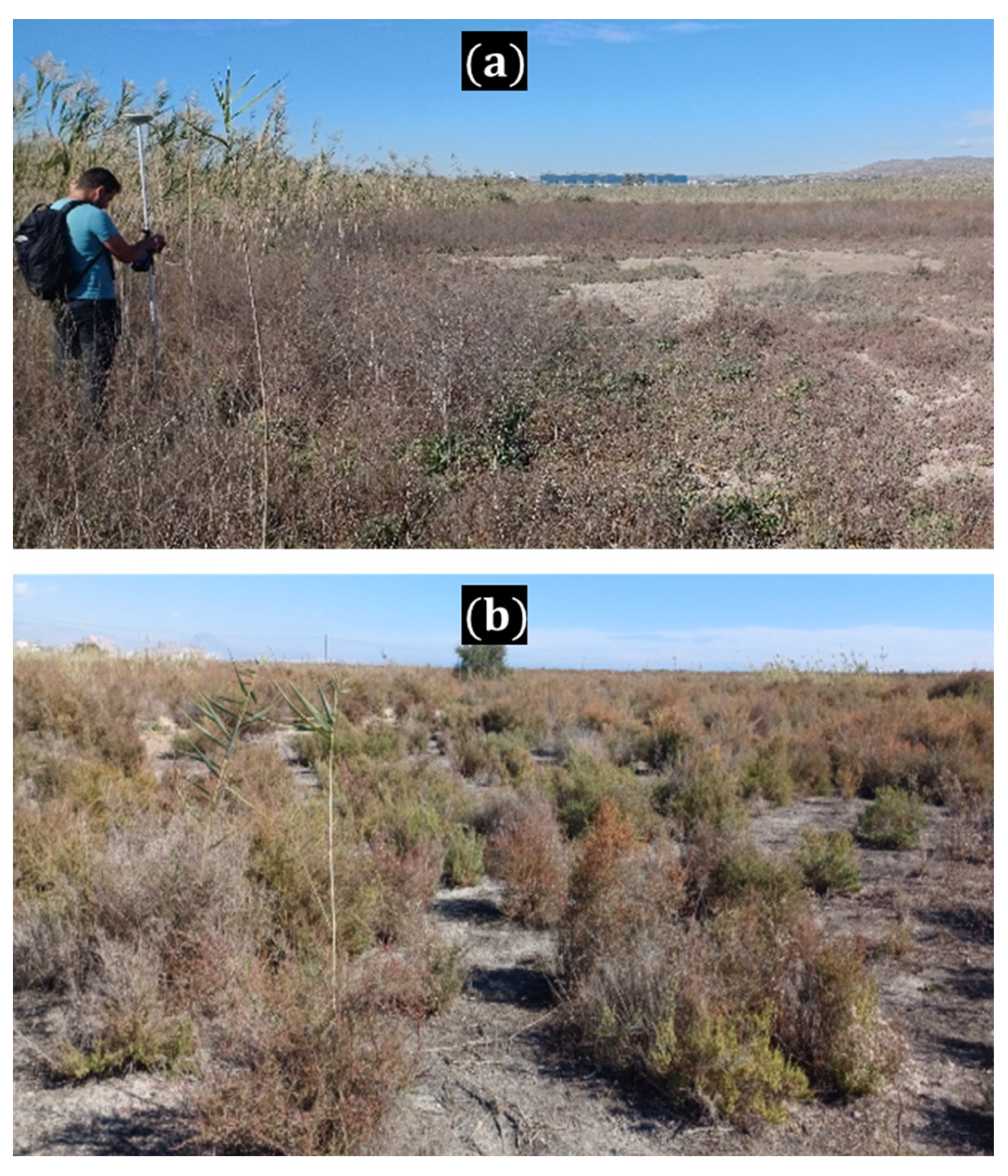 Sustainability 16 00973 g006