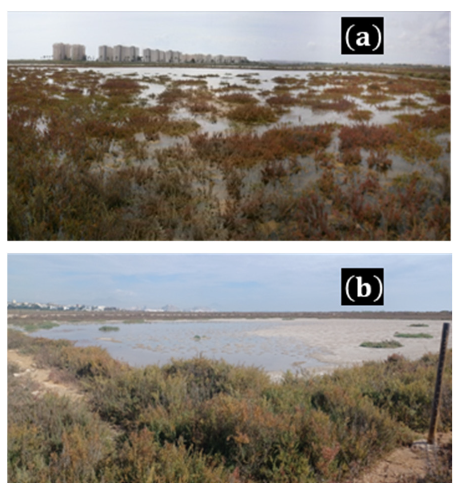 Sustainability 16 00973 g014