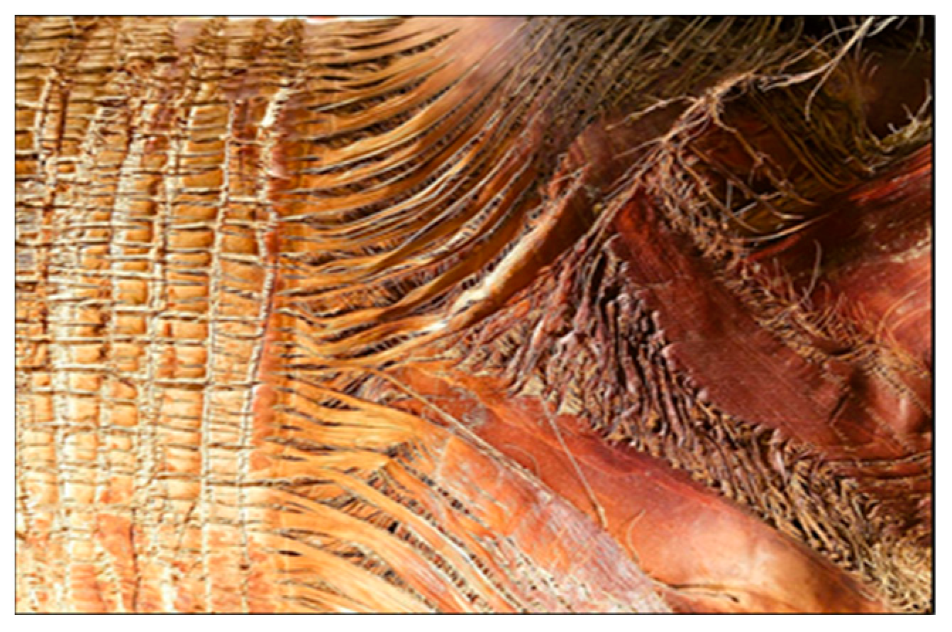 Sustainability 16 01003 g001