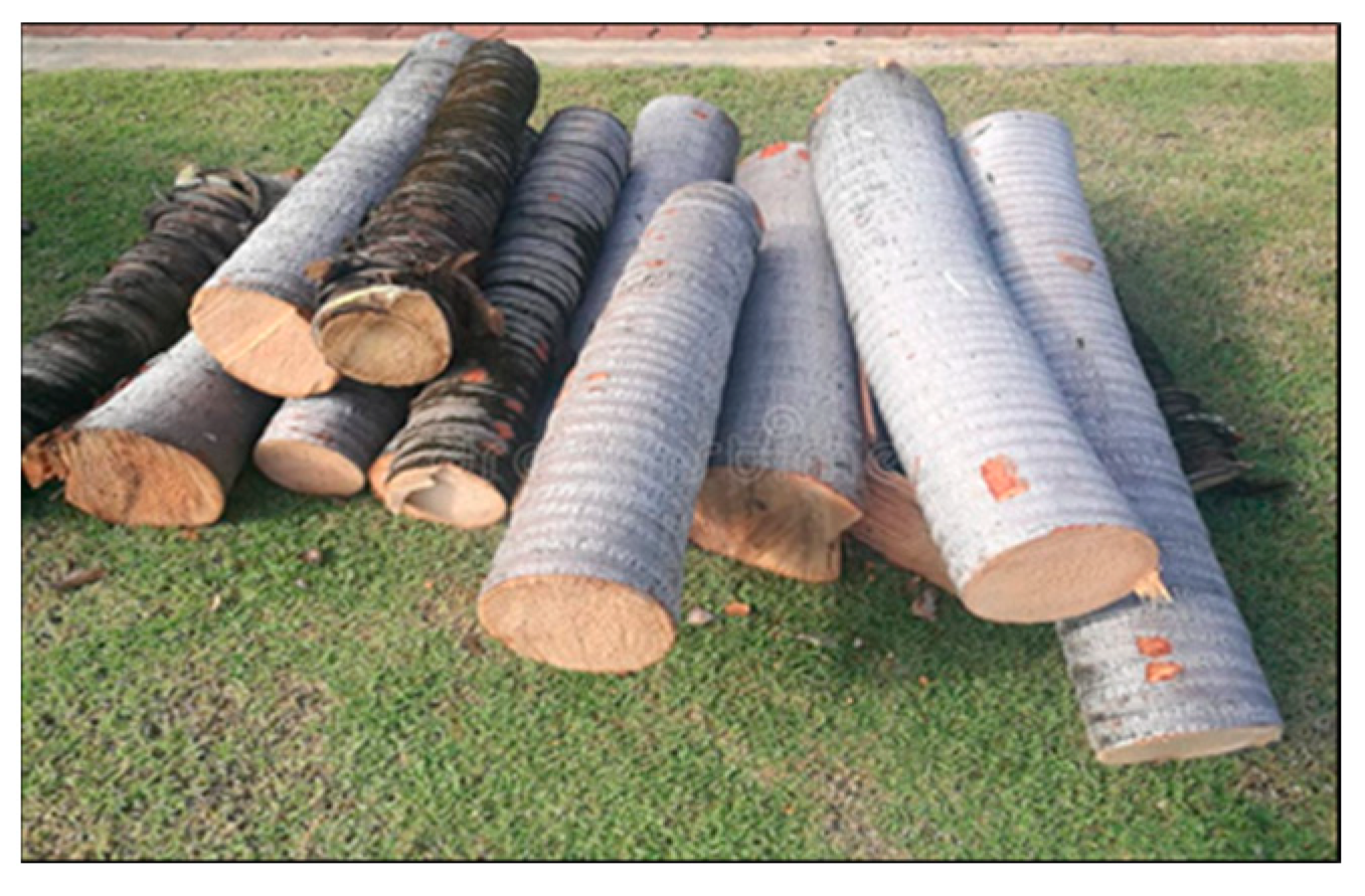 Sustainability 16 01003 g002