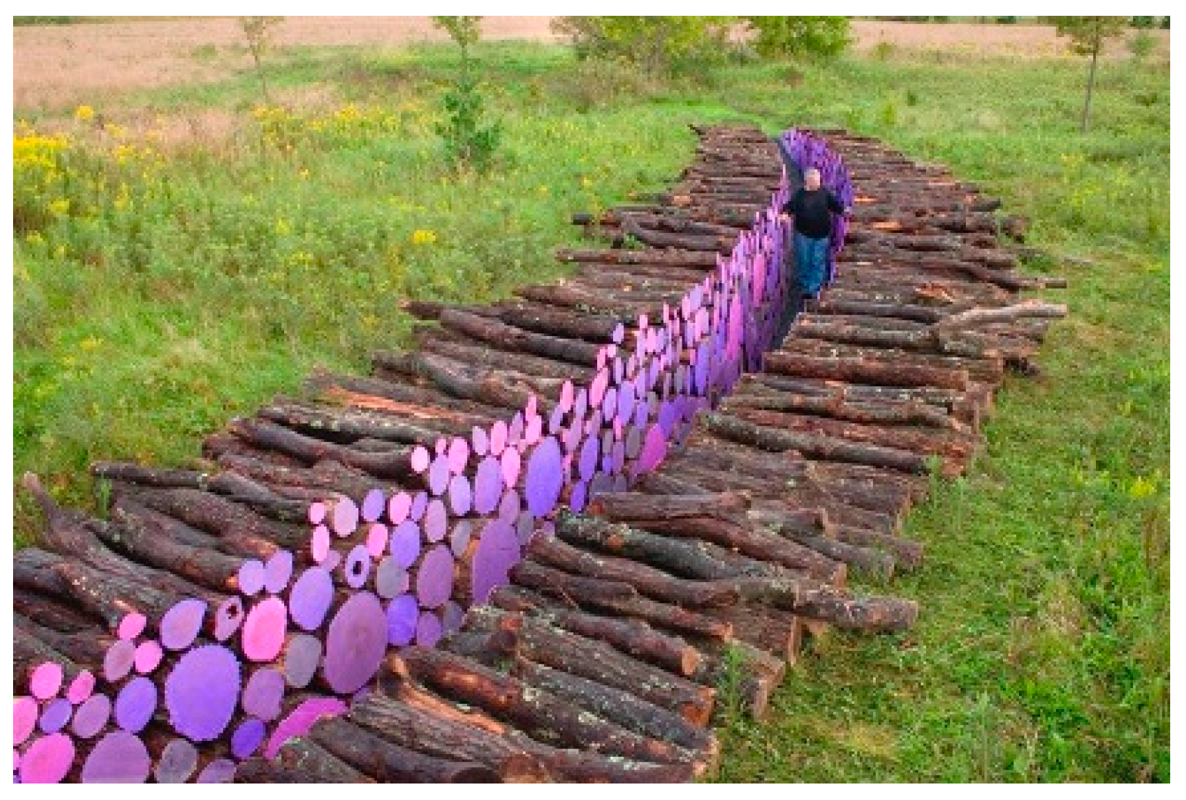 Sustainability 16 01003 g004