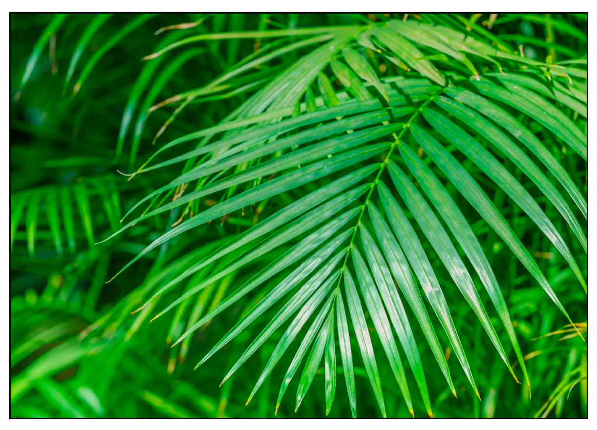 Sustainability 16 01003 g005