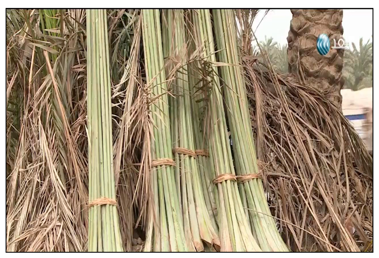 Sustainability 16 01003 g006