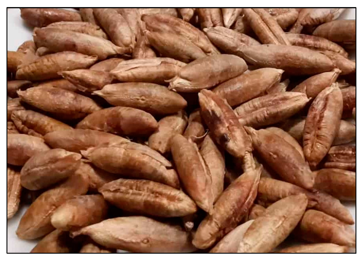 Sustainability 16 01003 g007