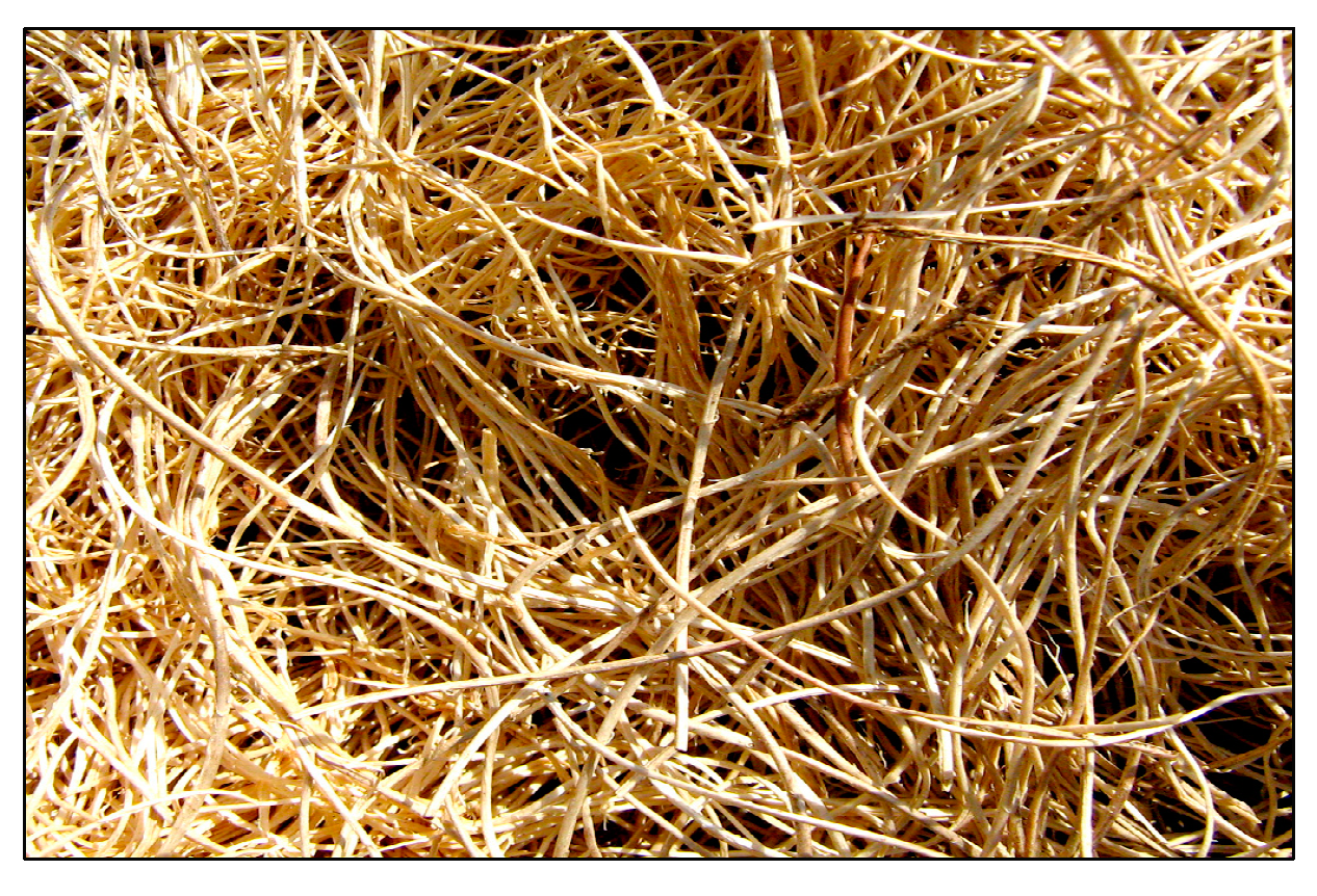 Sustainability 16 01003 g008