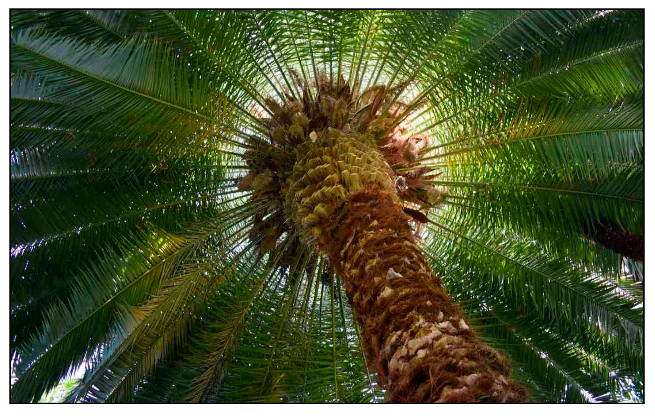 Sustainability 16 01003 g009