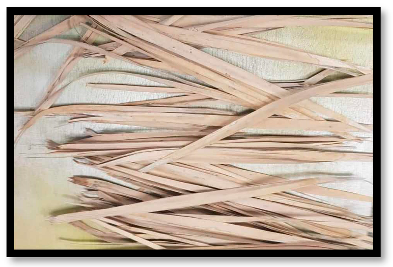 Sustainability 16 01003 g011