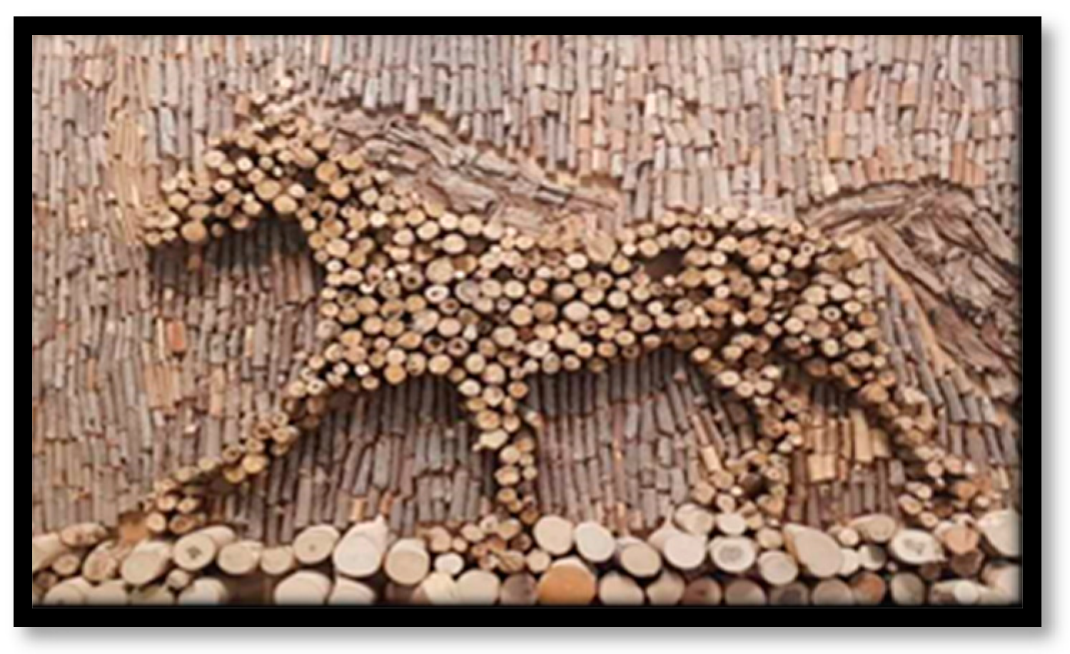 Sustainability 16 01003 g014