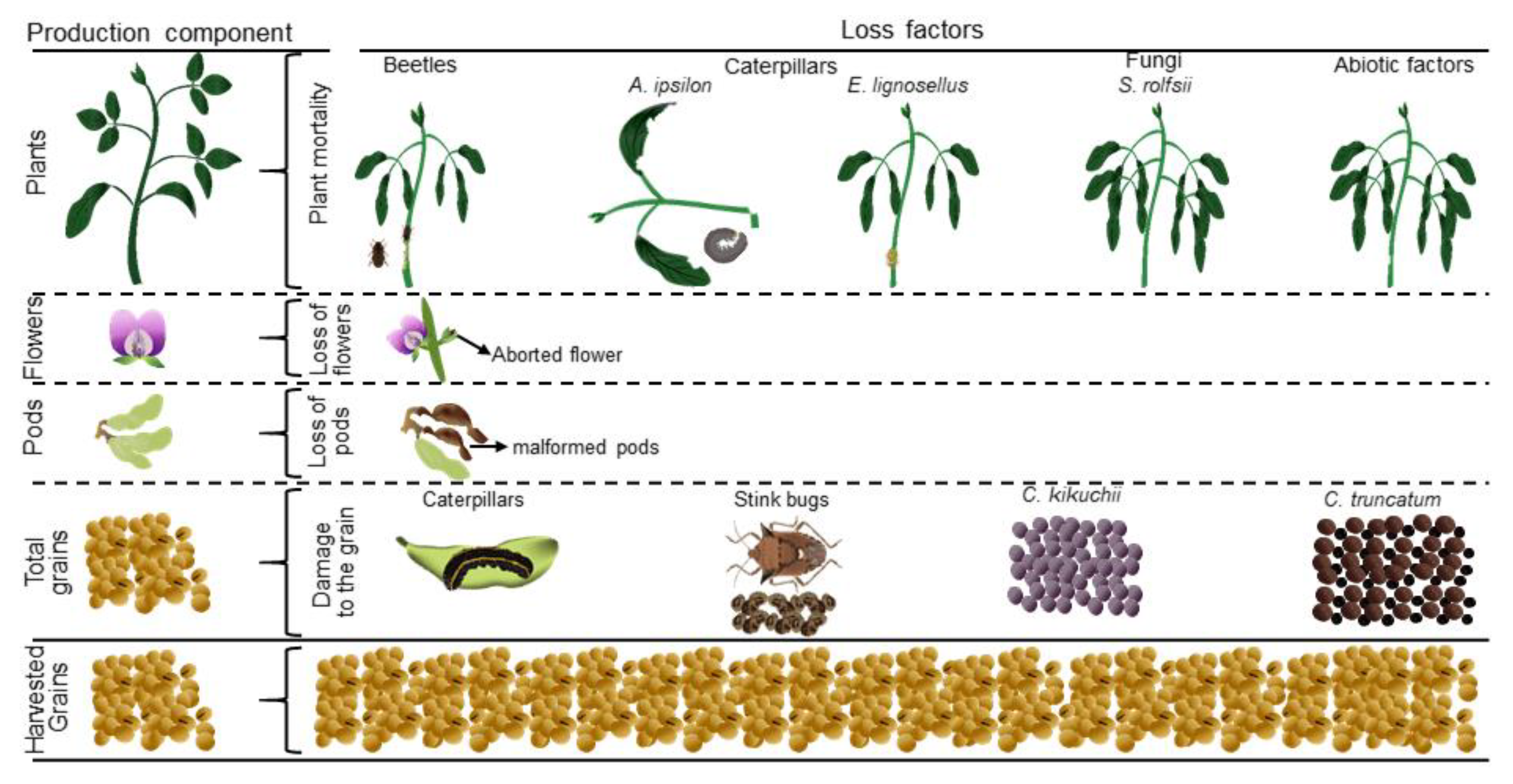 Sustainability 16 01036 g002 Sustainability 16 01036 g002