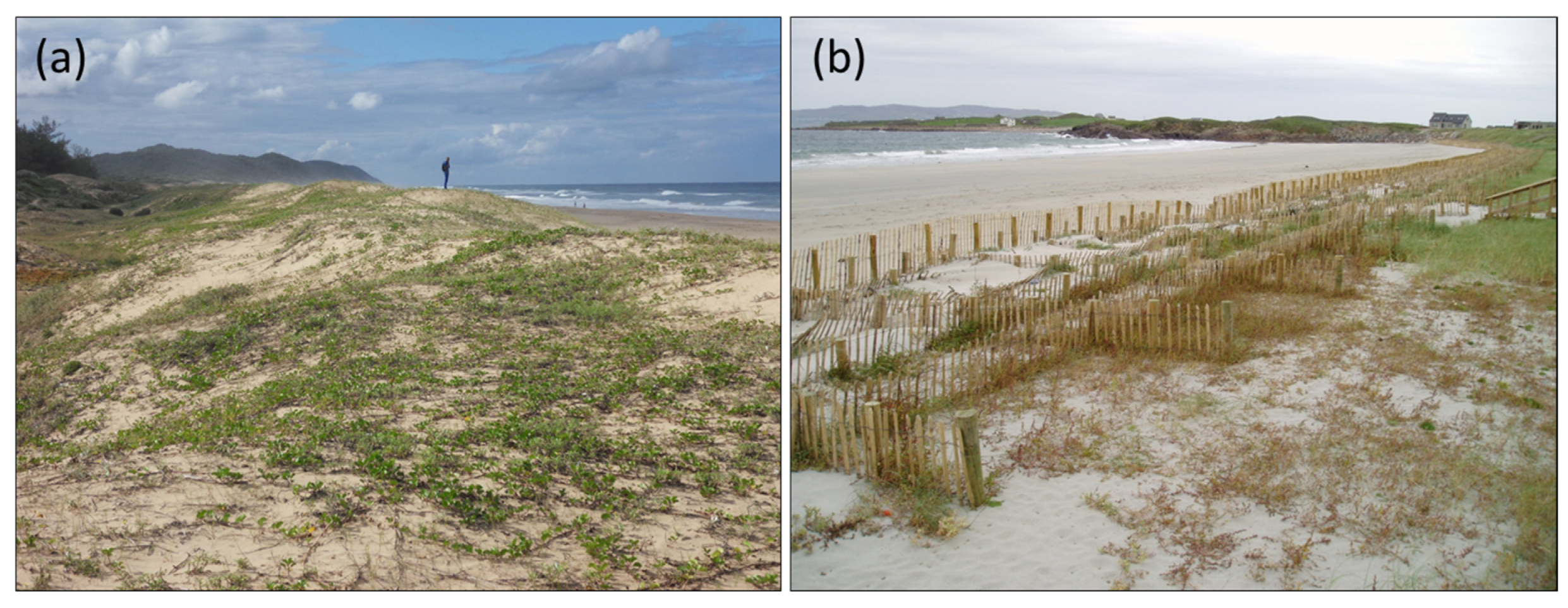 Sustainability 16 01056 g004 Sustainability 16 01056 g004