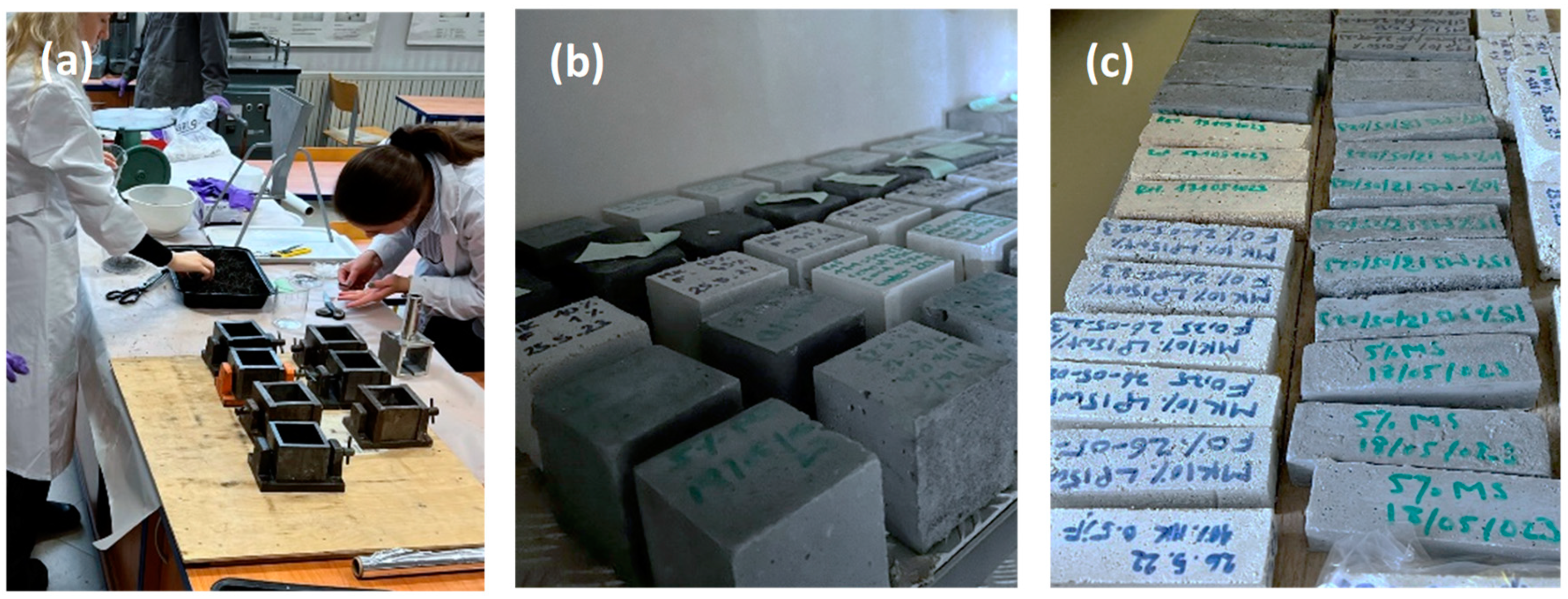 Sustainability 16 01068 g002