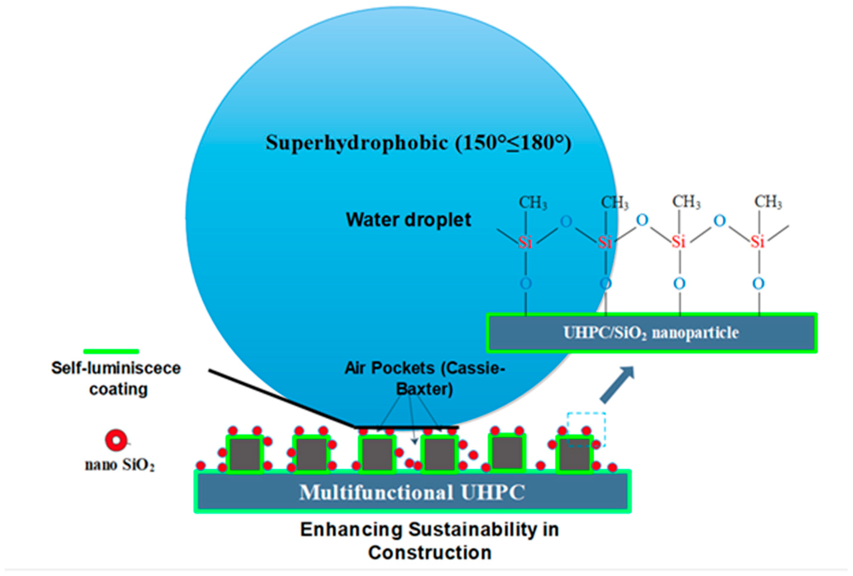 Sustainability 16 01068 g003