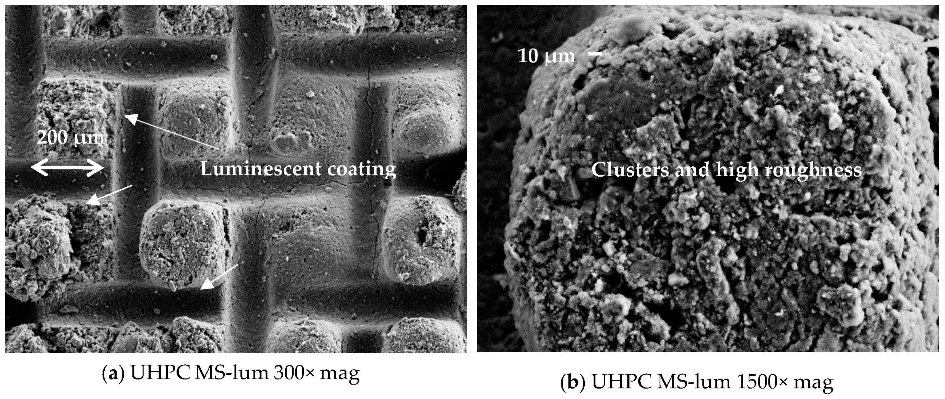 Sustainability 16 01068 g010