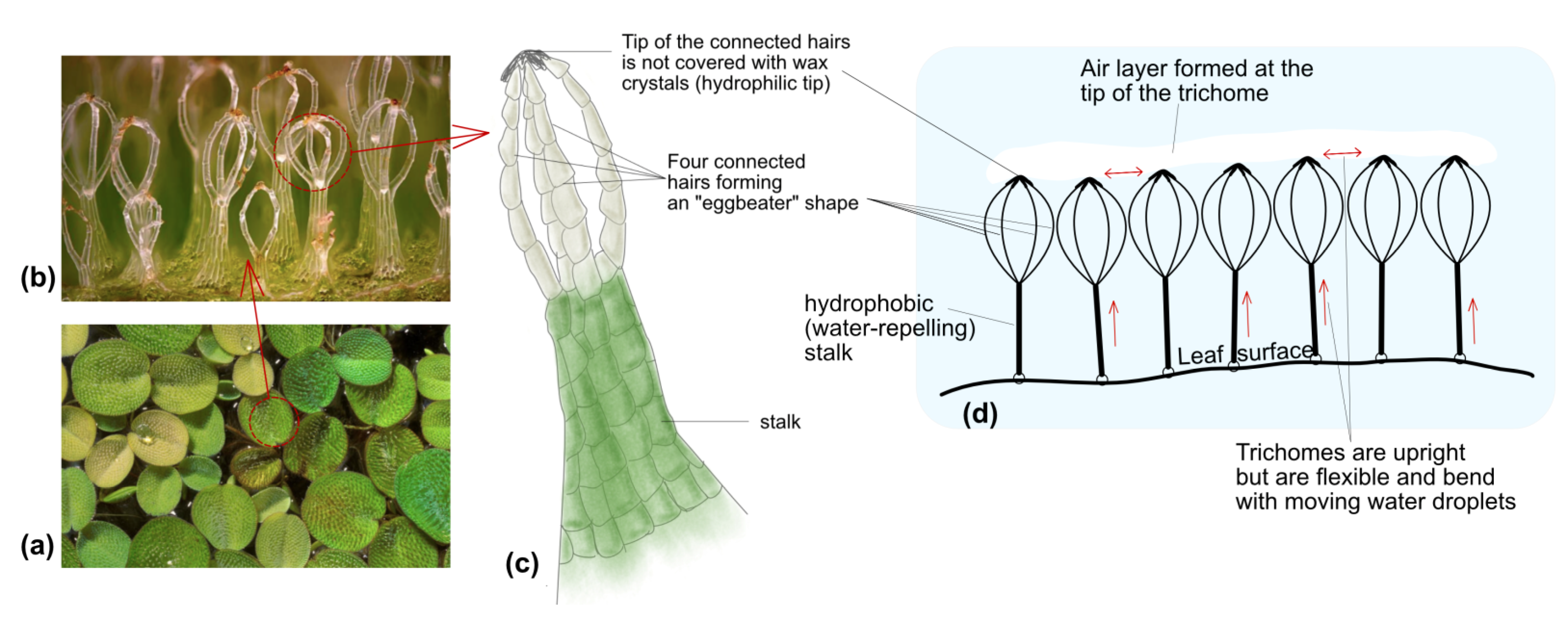 Sustainability 16 01069 g008