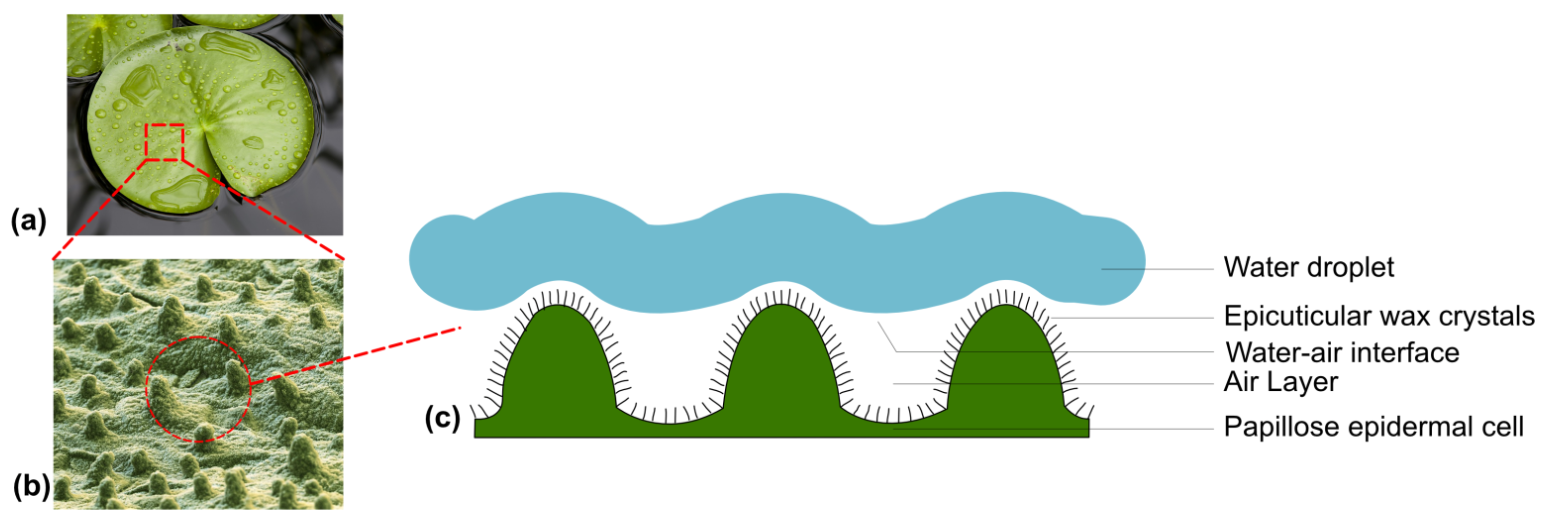 Sustainability 16 01069 g011