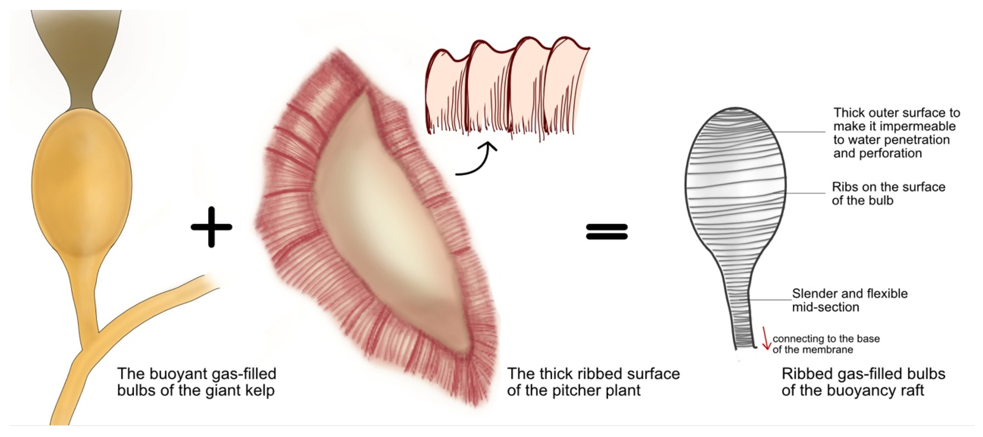 Sustainability 16 01069 g016