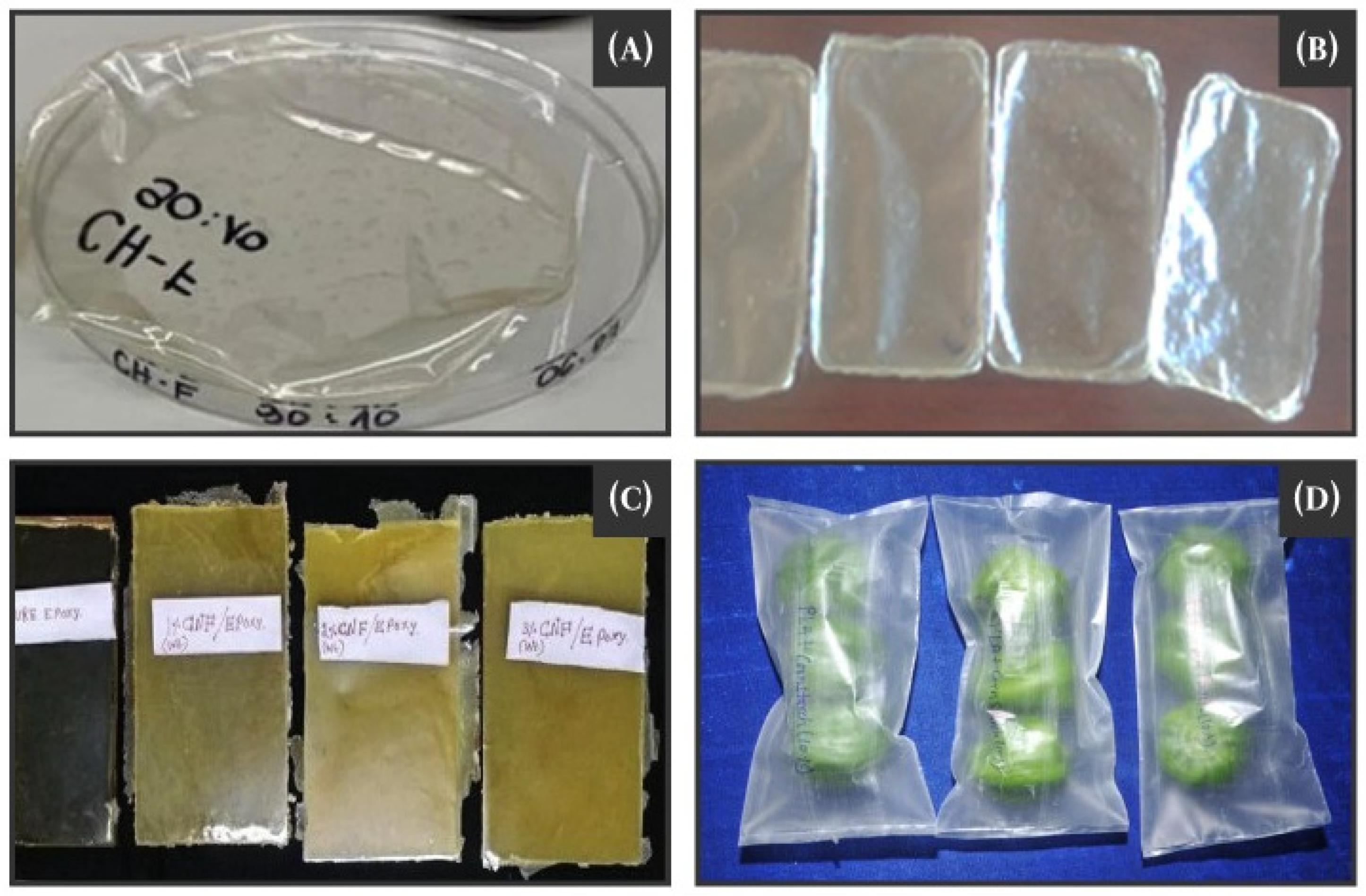 Sustainability 16 01073 g002