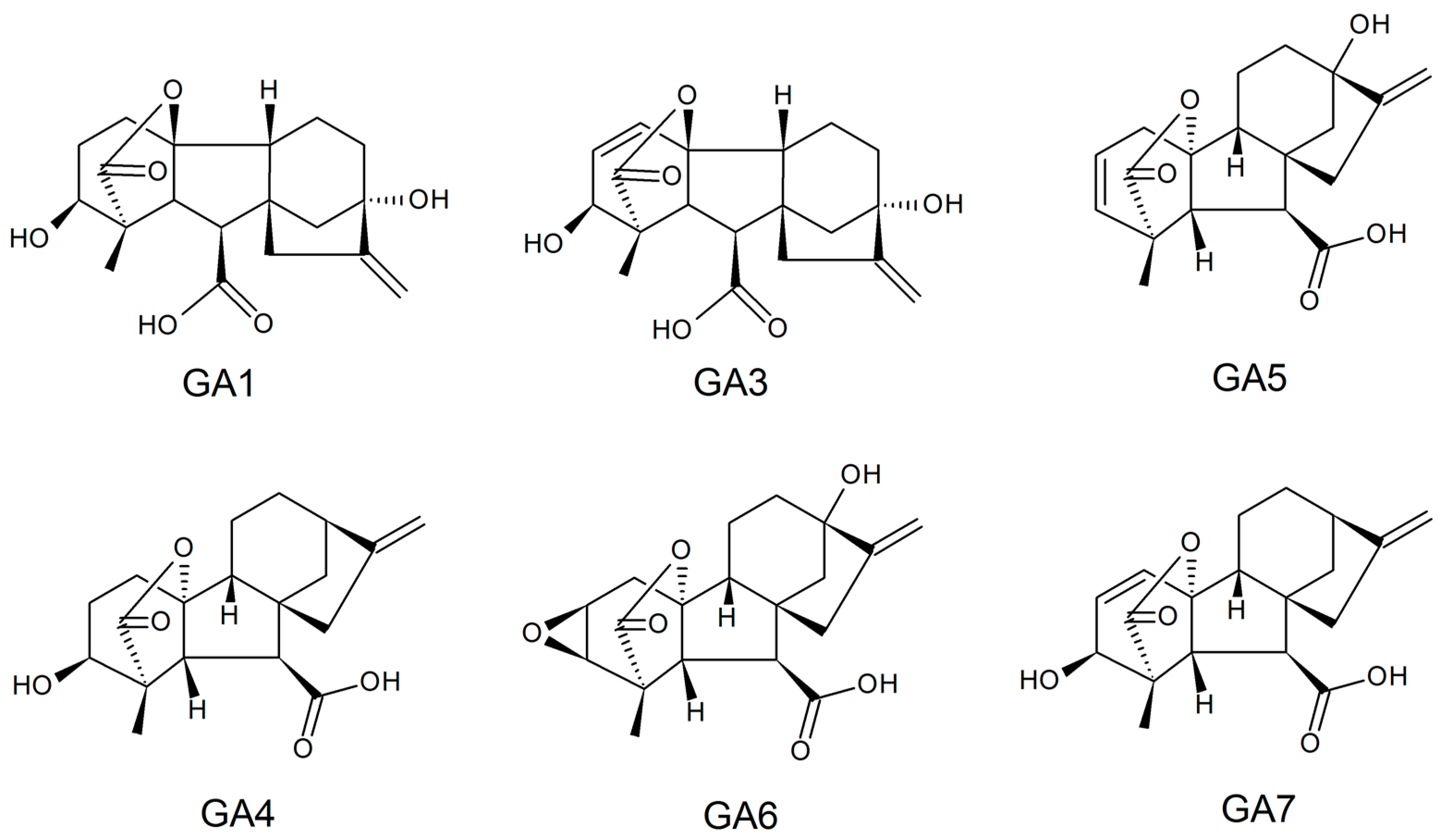 Sustainability 16 01076 g003