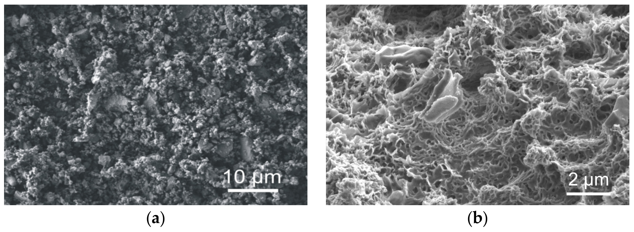 Sustainability 16 01084 g010