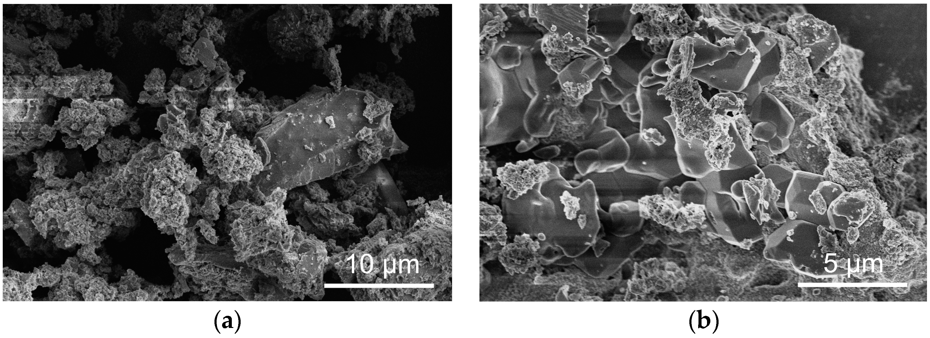 Sustainability 16 01084 g012