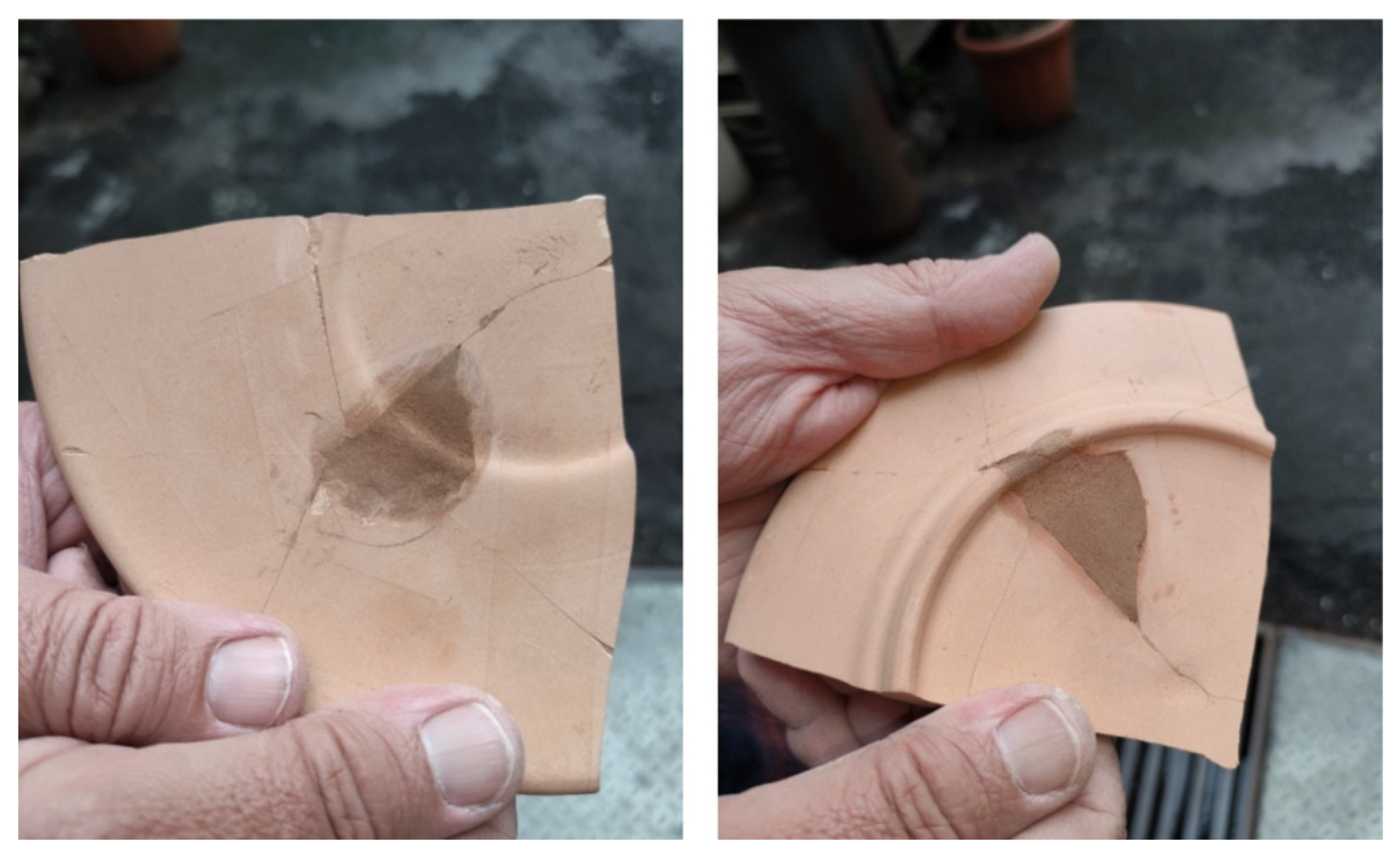 Sustainability 16 01085 g012