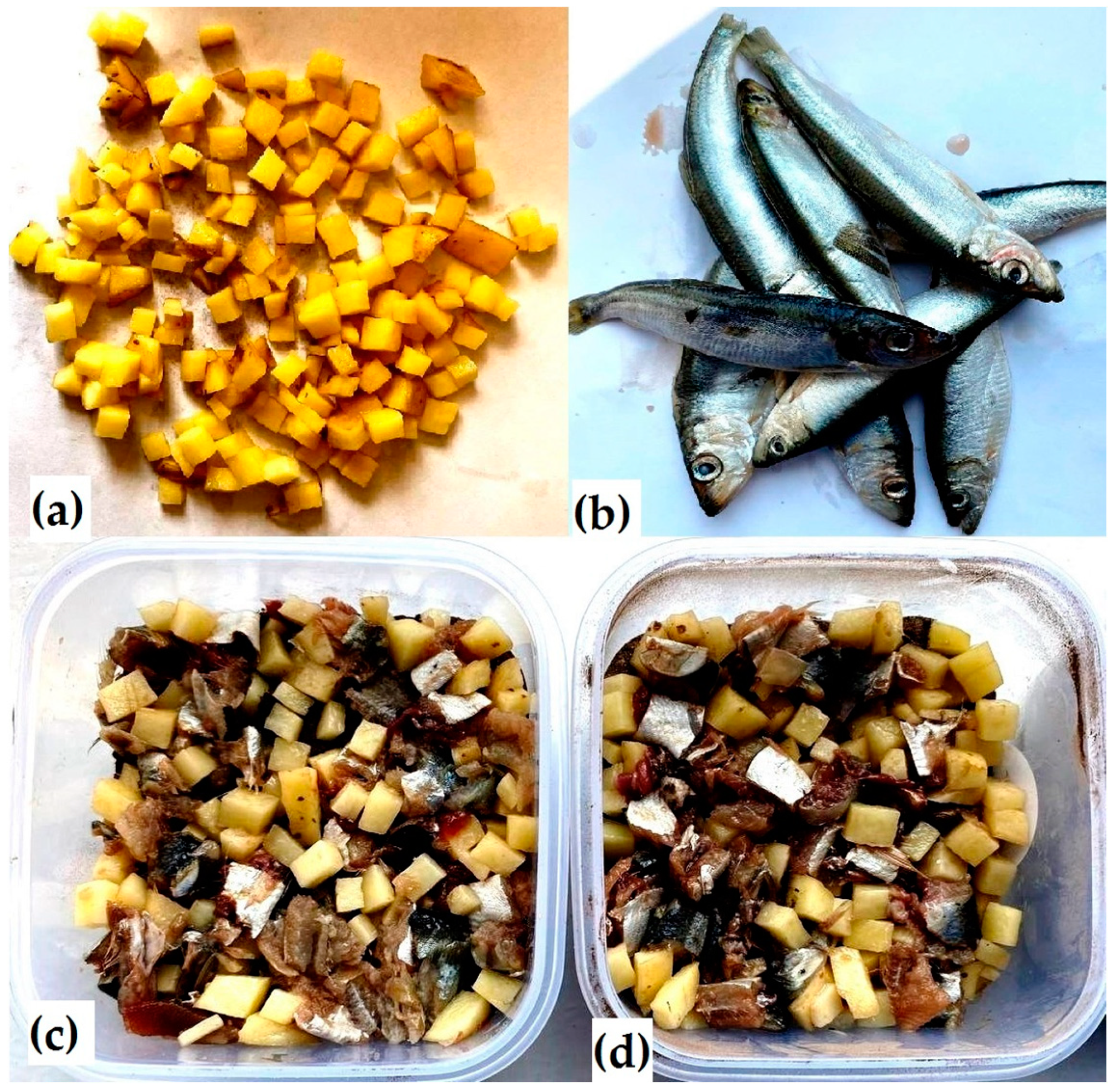 Sustainability 16 01097 g002 Sustainability 16 01097 g002