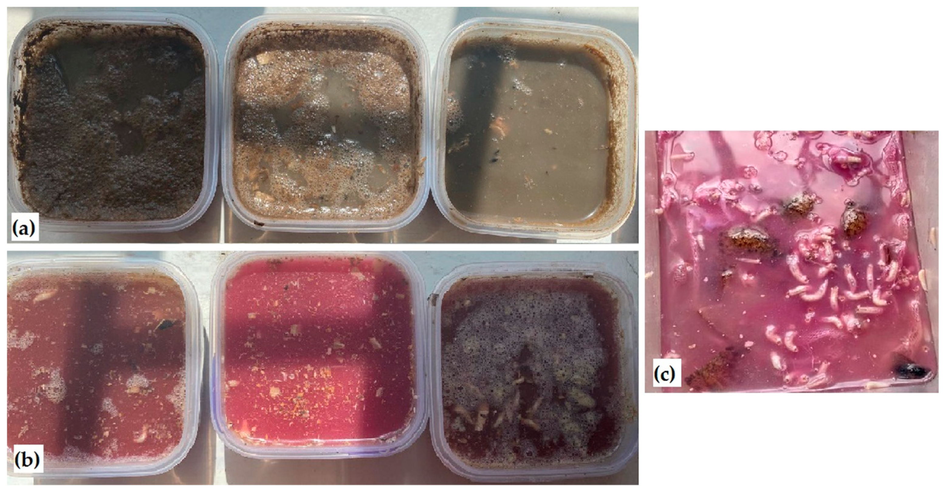 Sustainability 16 01097 g005 Sustainability 16 01097 g005