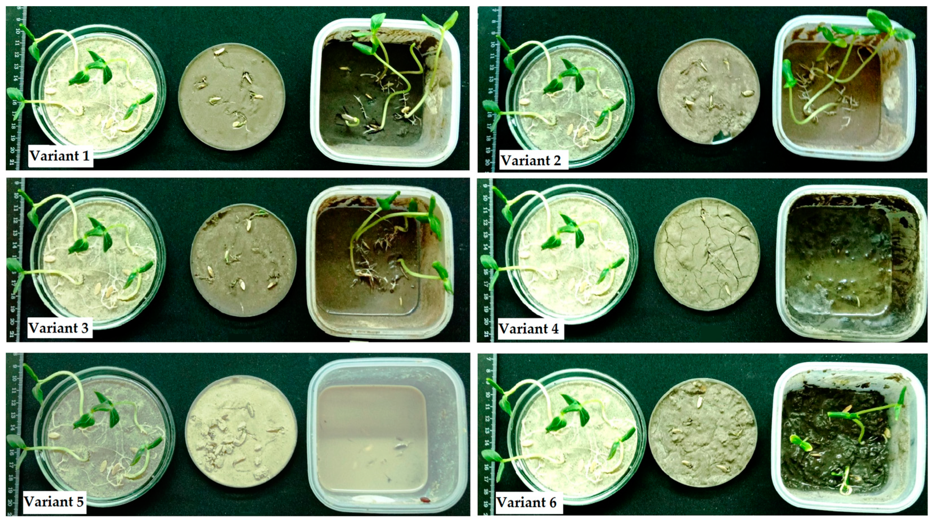 Sustainability 16 01097 g006 Sustainability 16 01097 g006