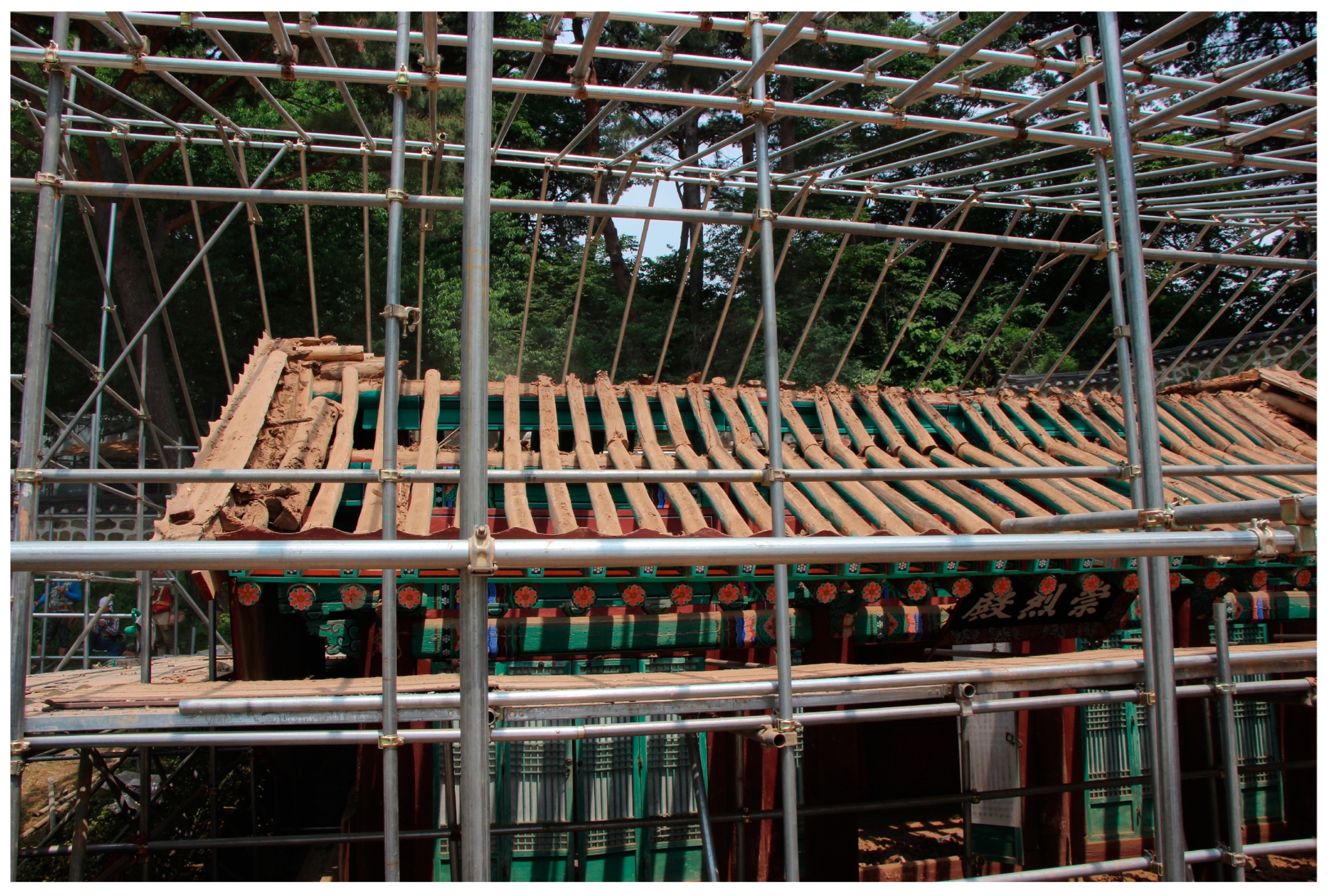 Sustainability 16 01101 g005